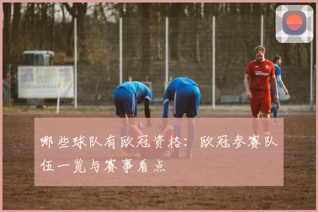 哪些球队有欧冠资格:欧冠参赛队伍一览与赛事看点