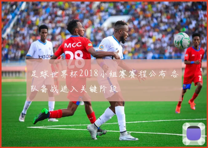 足球世界杯2018小组赛赛程公布 各队备战进入关键阶段